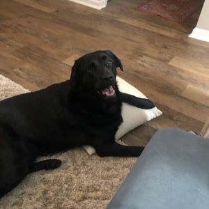 Meet your Posher, Nathan